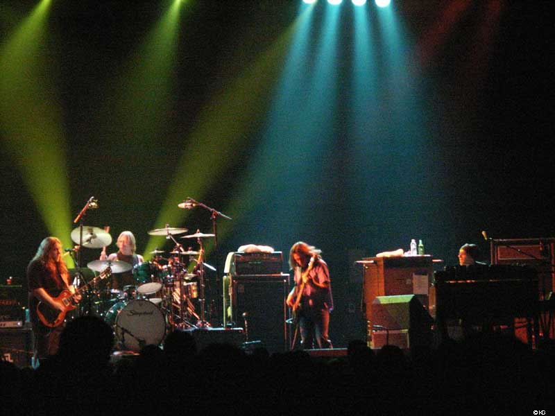 Govt Mule